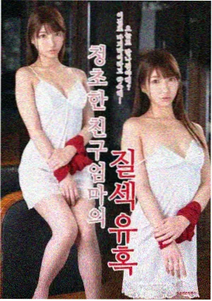间谍过家家 S2